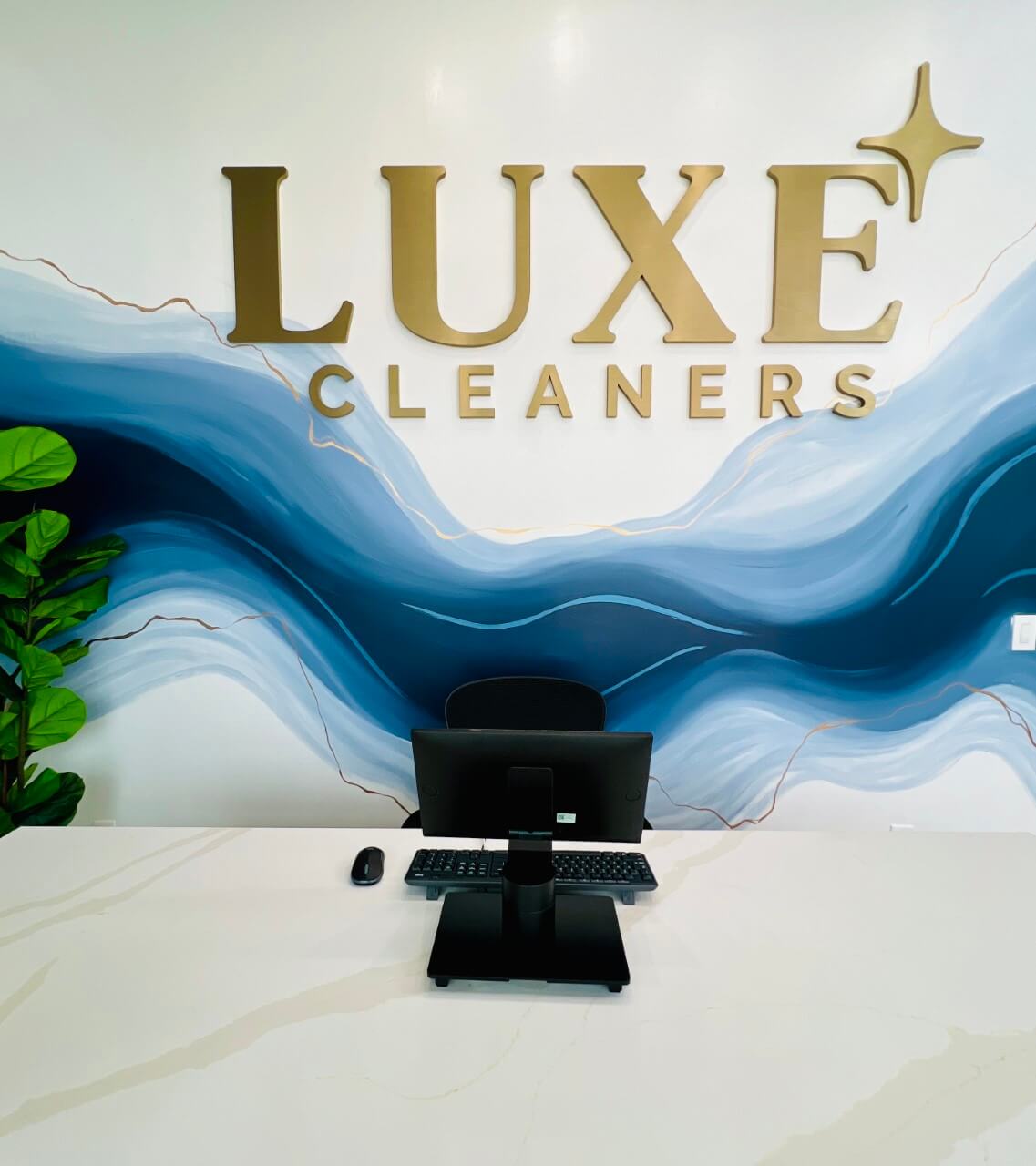 luxe reception tx area